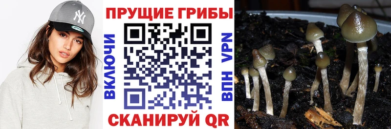 Галлюциногенные грибы Magic Shrooms  Купить  Аткарск 